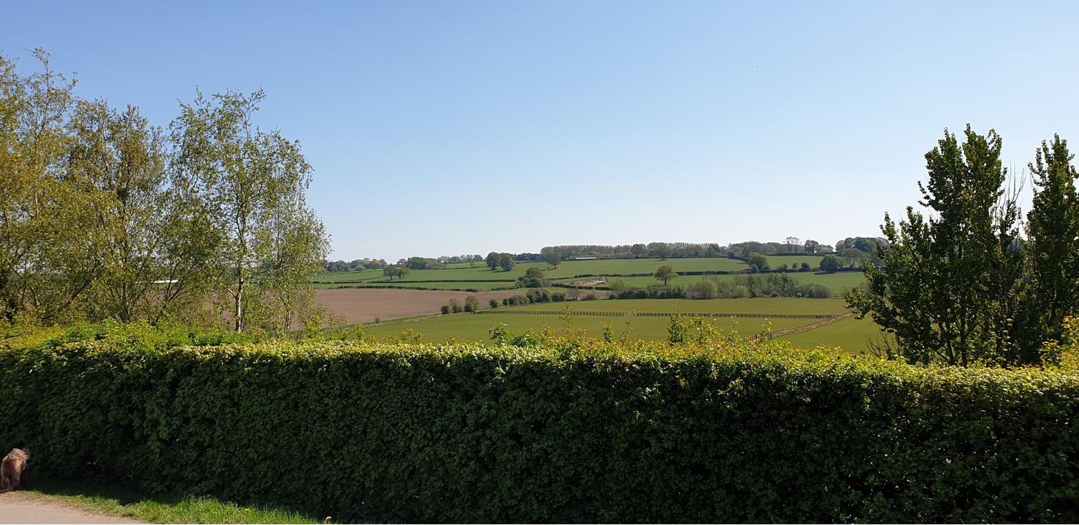 A view down the curving road into Farnham village in early summer