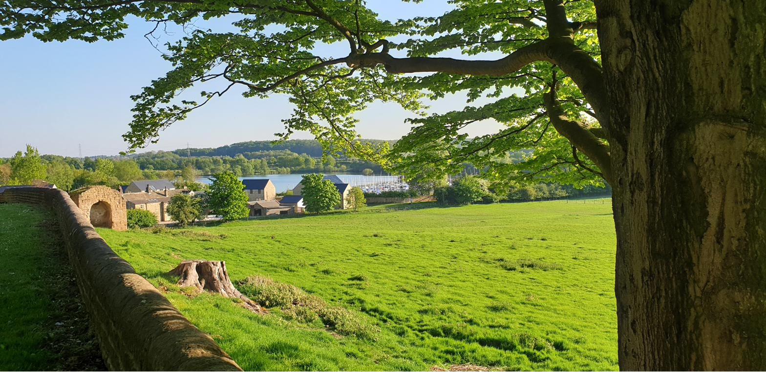 The lakes in spring &mdash; bright blue sky, marina visible on the right