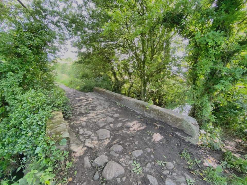 A weathered stone bridge with a low parapet crossing a track through dense summer woodland near Farnham