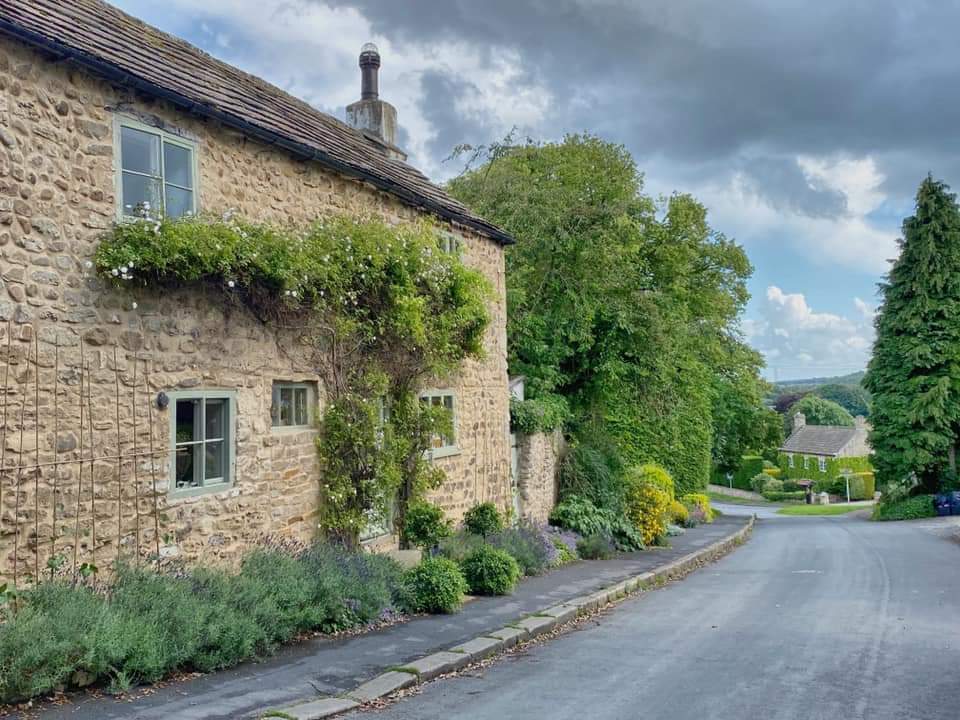 A stone cottage in Farnham draped in climbing roses, with lavender along the lane