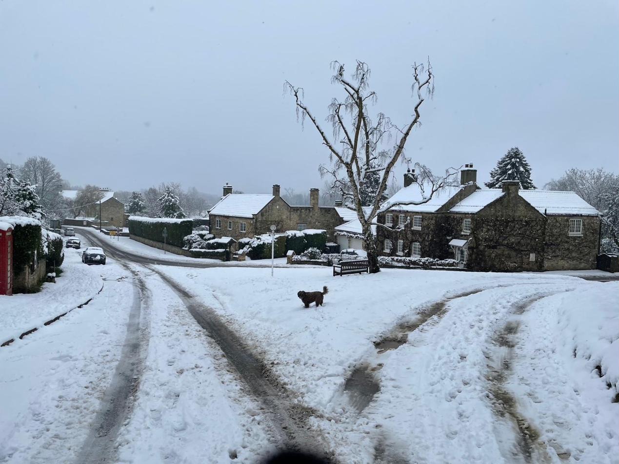 A narrow Farnham lane during a heavy snowfall, with a small brown dog beside a snow-covered shrub in the foreground, two cars parked along the verge under thick snow, and tall snow-laden conifers in the distance