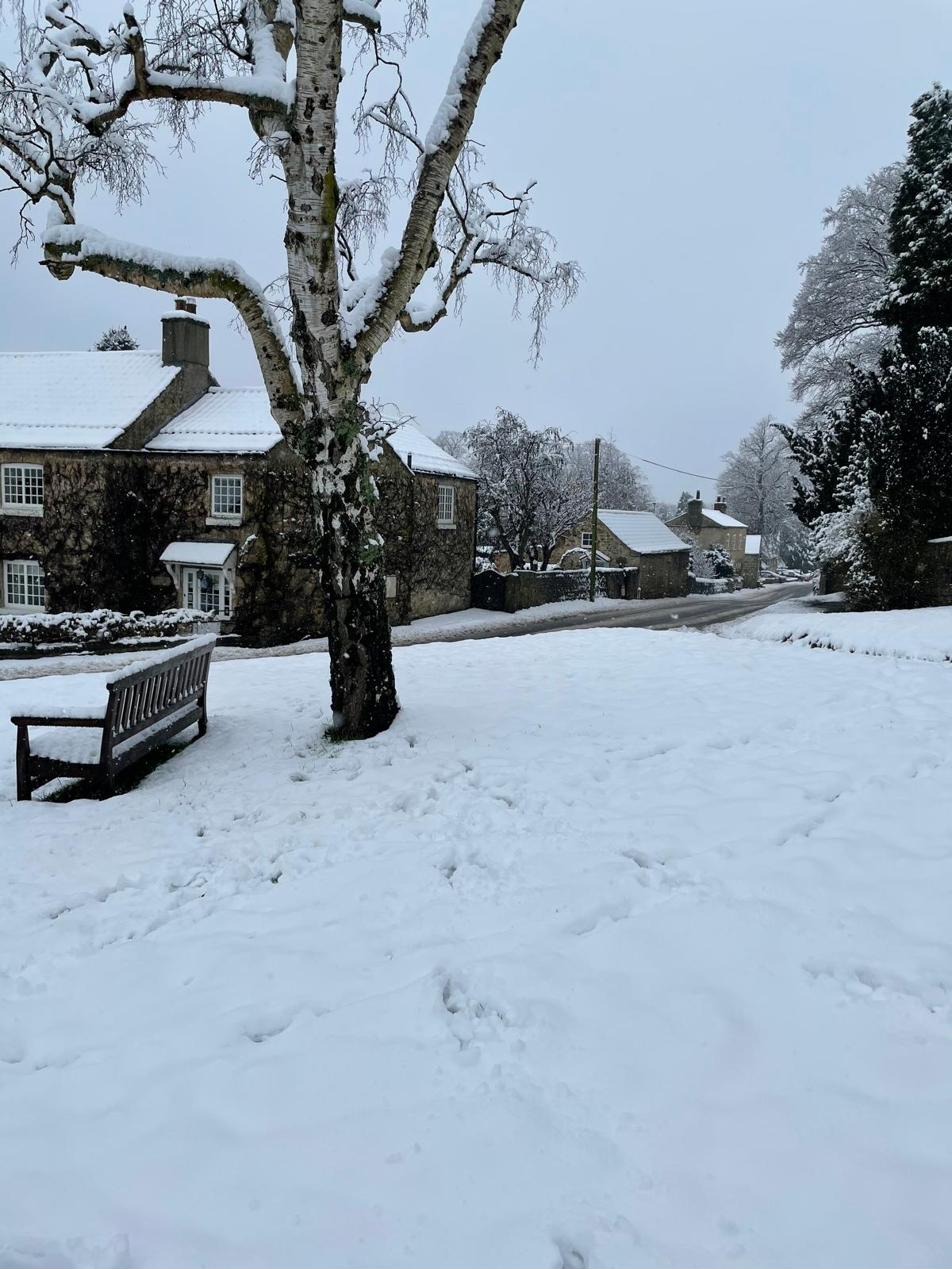 A wooden bench at the foot of a snow-covered silver birch tree on Farnham's village green, with stone cottages and the lane to the village beyond, deep in untouched snow
