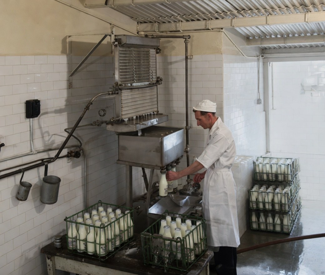 Restored colour photograph of the interior of the Manor Farm bottling room: a white-coated dairyman fills milk bottles at the bottling machine, with full crates of bottled milk stacked around him. White-tiled walls and a corrugated metal ceiling. Mid-twentieth century; restored from a black-and-white original.