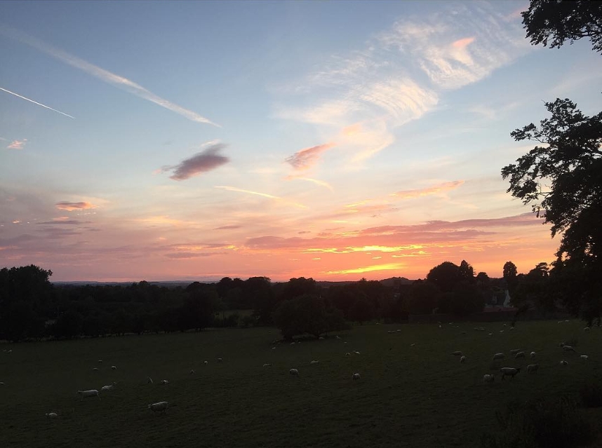 A wide view from above the village showing sheep grazing in fields under a pink and orange dusk sky streaked with vapour trails, looking south toward Knaresborough