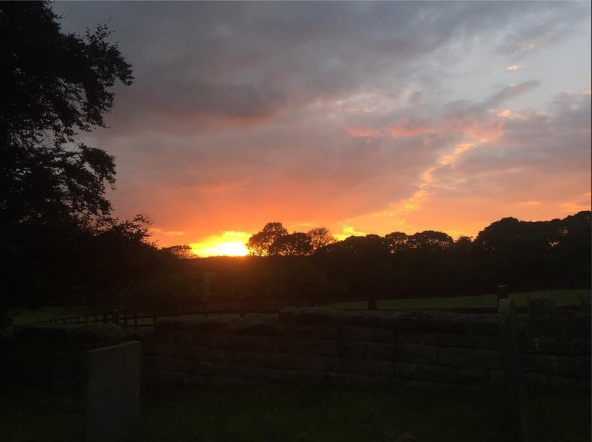 A pink and orange sunset over a coursed-stone field wall and post-and-rail fence, with hedgerow trees on the horizon in late summer near Farnham